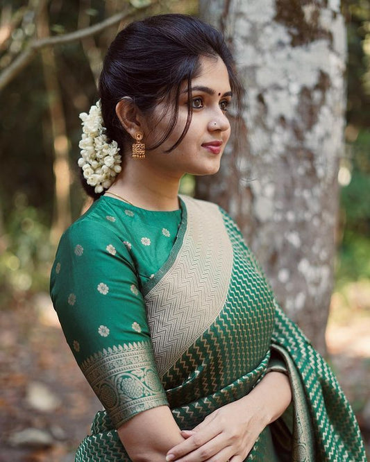 BEAUTIFUL KANJIVARAM SILK SAREE