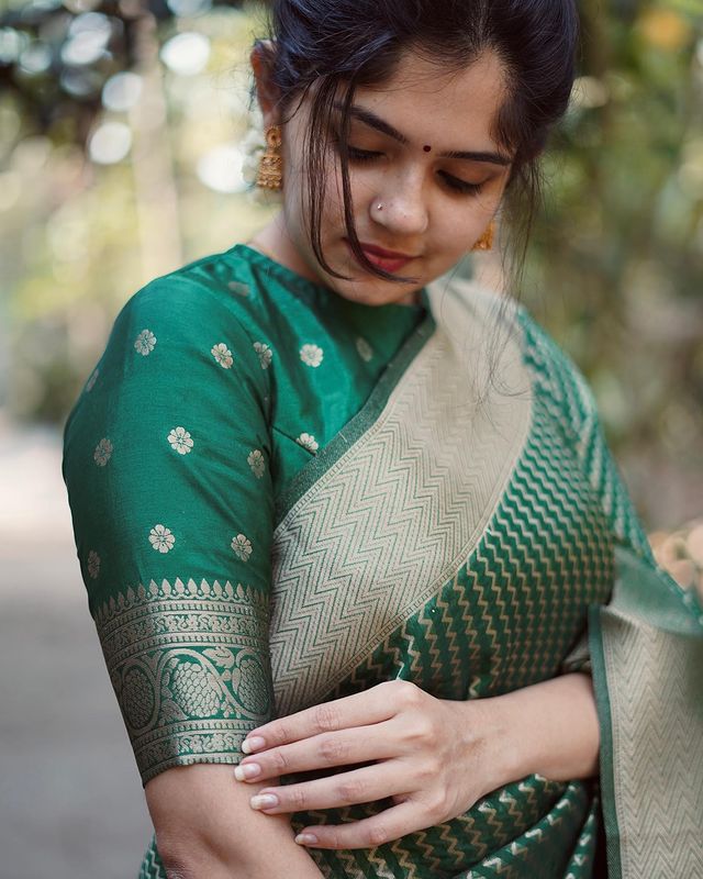 BEAUTIFUL KANJIVARAM SILK SAREE