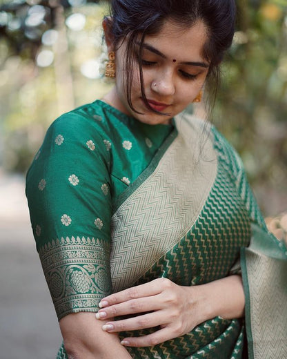 BEAUTIFUL KANJIVARAM SILK SAREE