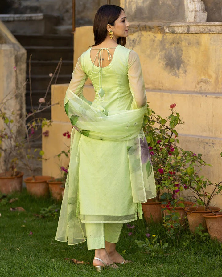 Beautifull Organza tabby Fabriced Hand Printed Demanding Kurta Set